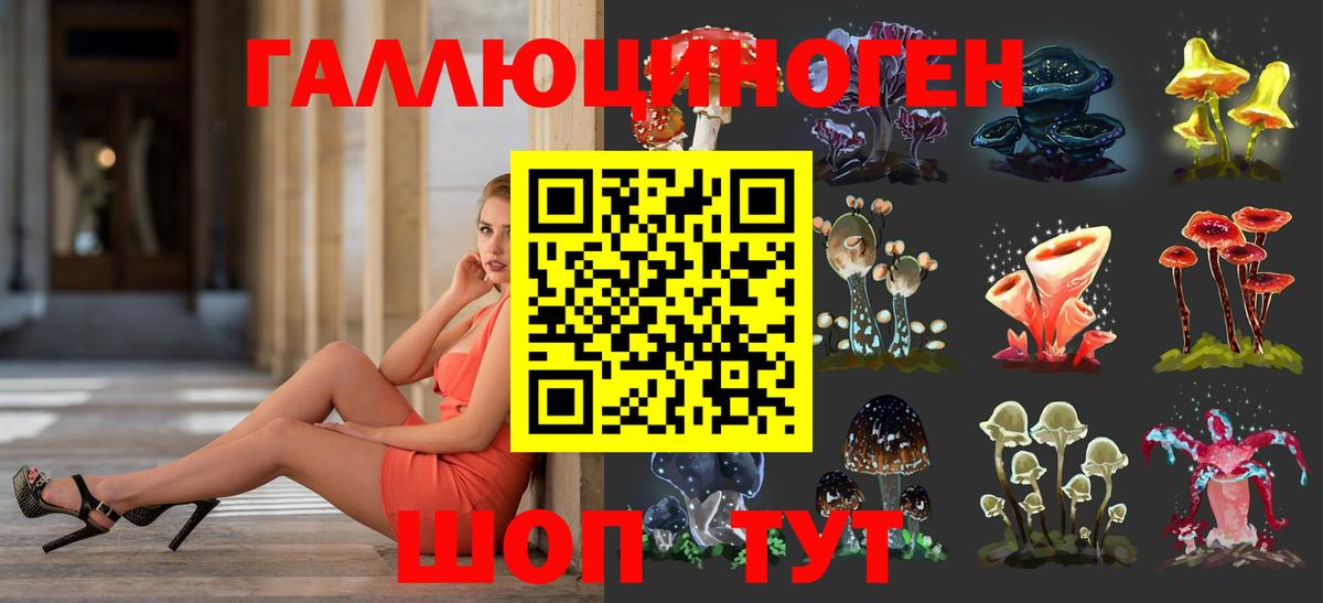 Псилоцибиновые грибы Psilocybine cubensis Екатеринбург