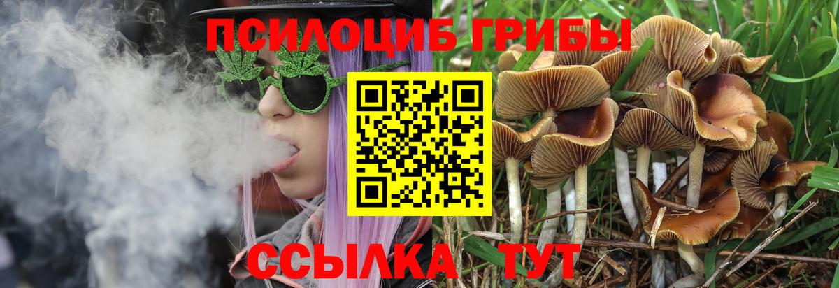Галлюциногенные грибы Cubensis  Вход с VPN  Екатеринбург 