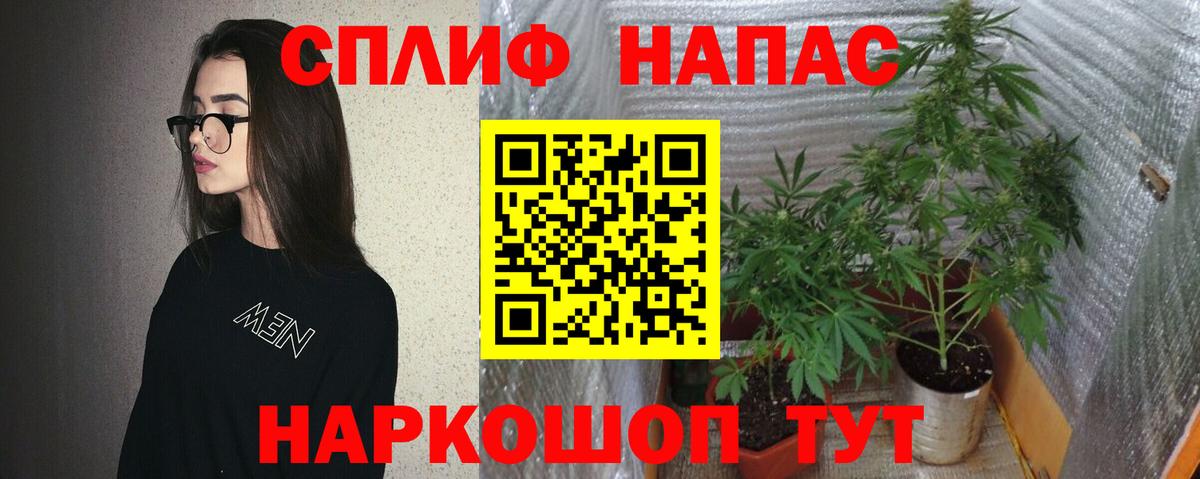 Конопля SATIVA & INDICA  Бошки марихуана Bruce Banner  Екатеринбург  Каннабис THC 21%  Шишки марихуана тримм  Вход с VPN 
